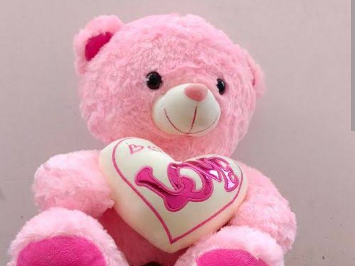 Pink teddy bear